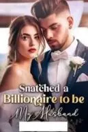 Snatched A Billionaire To Be My Husband by Shabi's pen